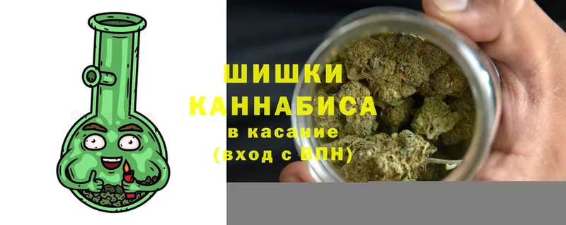 Каннабис ГИДРОПОН  Завитинск 